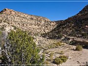 crow canyon petroglyphs 32