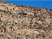 crow canyon petroglyphs 34