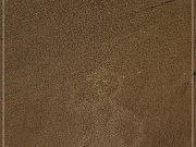 Largo Canyon Petroglyphs