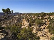 Adams Canyon