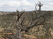 Star Rock Pueblo