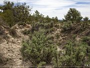 Rattlesnake Ridge Ruins