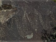 Three Rivers Petroglyph Site