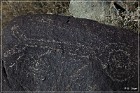 Three Rivers Petroglyph Site