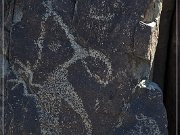 Three Rivers Petroglyph Site