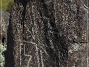 Three Rivers Petroglyph Site