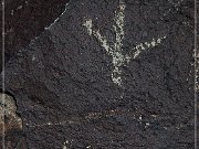 Three Rivers Petroglyph Site