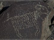 Three Rivers Petroglyph Site