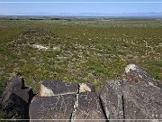 Three Rivers Petroglyph Site