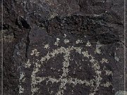 Three Rivers Petroglyph Site