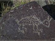 Three Rivers Petroglyph Site