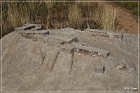 Tijeras Pueblo Ruins