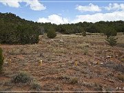 Tijeras Pueblo Ruins