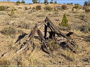 Twin Angels Pueblo