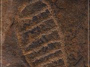 Parowan Gap Petroglyphs