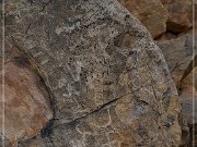 Parowan Gap Petroglyphs