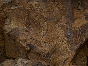 Parowan Gap Petroglyphs