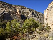 Dry Fork Canyon Petroglyhs