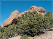 Lion's Mouth Pictographs Trail