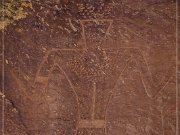 McConkie Ranch Petroglyphs