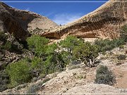 Monarch Cave Ruin