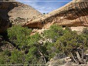 Monarch Cave Ruin