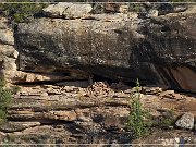 Montezuma Canyon