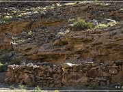 Nefertiti Rock Petroglyphs