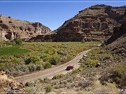 Cottonwood Canyon