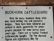 Buckhorn Cattleguard Petroglyphs