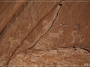 Buckhorn Cattleguard Petroglyphs