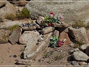 Cedar Mountain Petroglyph Sites