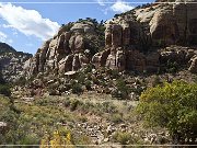 Shay Canyon Petroglyphs