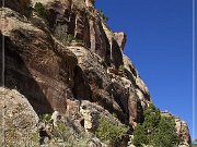 Shay Canyon Petroglyphs