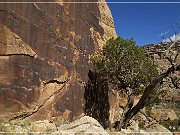 Shay Canyon Petroglyphs