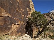 Shay Canyon Petroglyphs