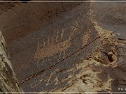 Shay Canyon Petroglyphs