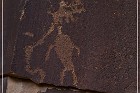 Shay Canyon Petroglyphs