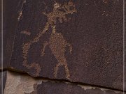 Shay Canyon Petroglyphs