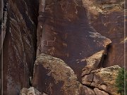 Shay Canyon Petroglyphs