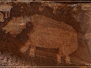 Shay Canyon Petroglyphs