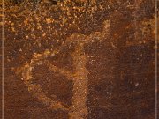 Shay Canyon Petroglyphs