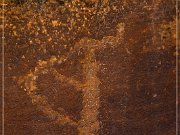 Shay Canyon Petroglyphs