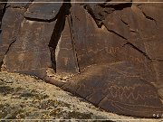 Shay Canyon Petroglyphs