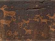 Shay Canyon Petroglyphs