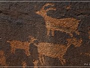 Shay Canyon Petroglyphs