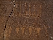 Shay Canyon Petroglyphs