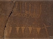 Shay Canyon Petroglyphs