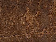 Shay Canyon Petroglyphs