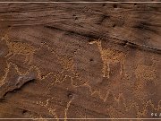 Shay Canyon Petroglyphs